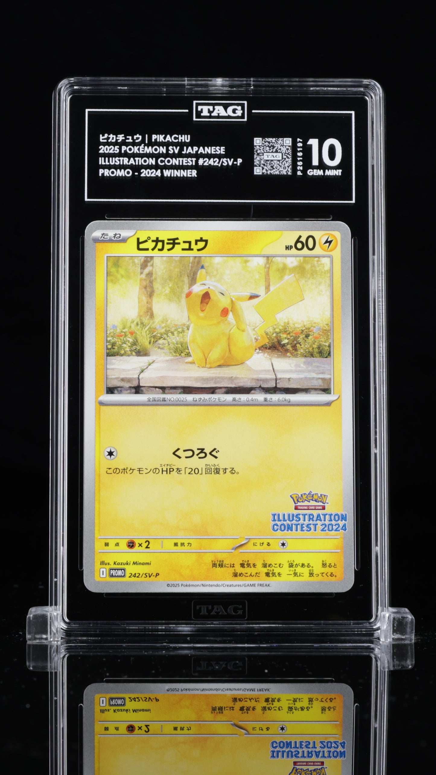 Pikachu - #242 Illustration Contest 2024 - JAPANESE - TAG 10