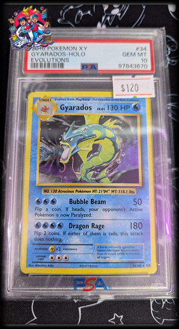 Gyarados Holo - Evolutions #34 PSA 10